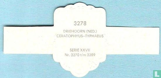 Driehoorn (Ned.) - Ceratophyus-Typhaeus - Image 2