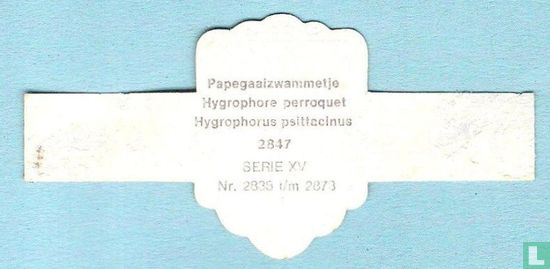 Papagaaizwammetje (Hygrophorus psittacinus) - Afbeelding 2