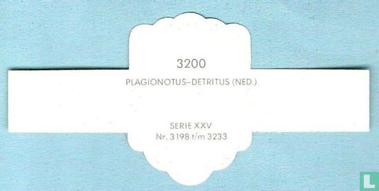 Plagionotus-Detritus (Ned.) - Afbeelding 2