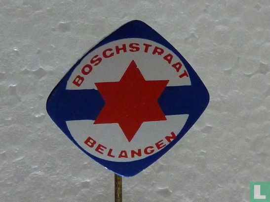 Boschstraat Belangen [bleu-rouge] - Image 1