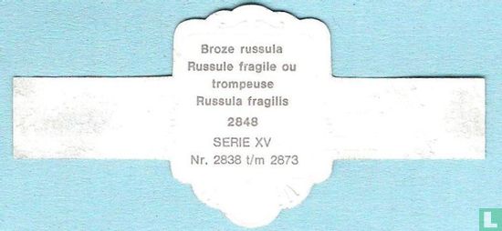 Broze russula (Russula fragilis) - Afbeelding 2