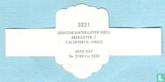 Gewone waterjuffer (Ned.) beekjuffer (vr.) - Calopteryx-Virgo - Afbeelding 2