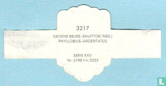 Groene beuke-snuittor (Ned.) - Phyllobius-Argentatus - Afbeelding 2