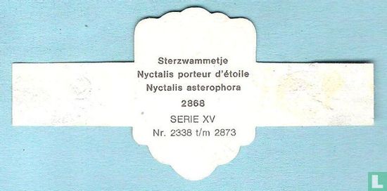 Sterzwammetje (Nyctalis asterophora) - Image 2