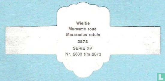 Wieltje (Marasmius rotula) - Image 2
