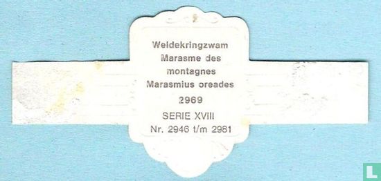 Weidekringzwam (Marasmius oreades) - Afbeelding 2