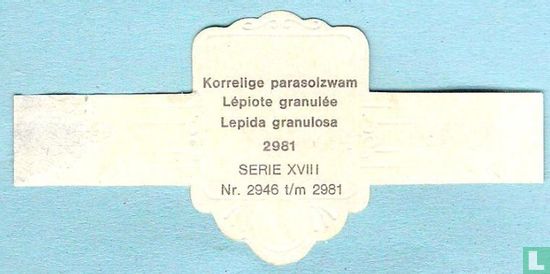 Korrelige parasolzwam (Lepida granulosa) - Afbeelding 2