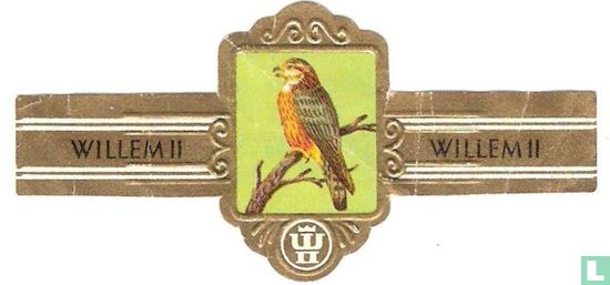 Smelleken (Falco columbarius) - Image 1
