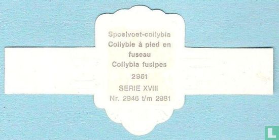 Spoelvoet-collybia (Collybia fusipes) - Afbeelding 2