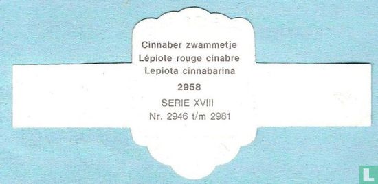 Cinnaber zwammetje (Lepiota cinnabarina) - Afbeelding 2