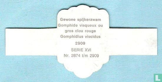 Gewone spijkerzwam (Gomphidius viscidus) - Image 2