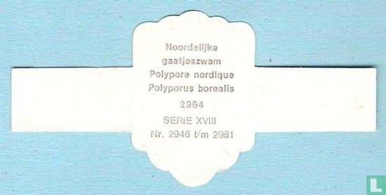 Noordelijke gaatjeszwam (Polyporus borealis) - Afbeelding 2