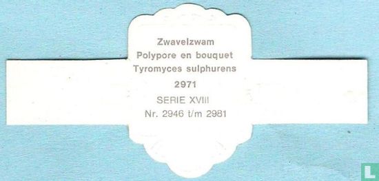 Zwavelzwam (Tyromyces sulphurens) - Afbeelding 2