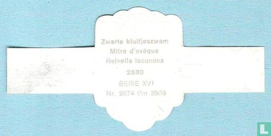 Zwarte kluifjeszwam (Helvella lacunosa) - Image 2