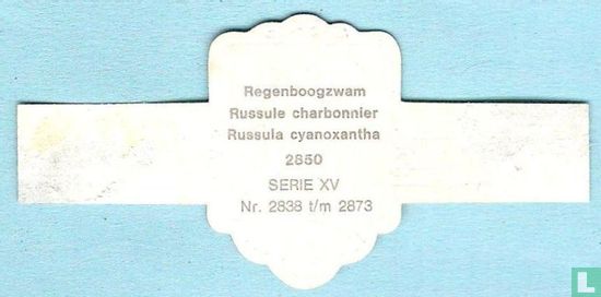 Regenboogzwam (Russula cyanoxantha - Bild 2