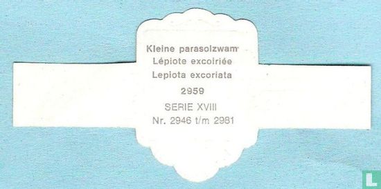 Kleine parasolzwam (Lepiota excoriata) - Afbeelding 2