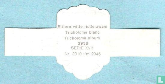Bittere witte ridderzwam (Tricholoma album) - Afbeelding 2