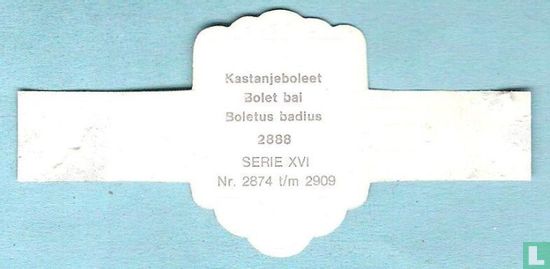 Kastanjeboleet (Boletus badius) - Image 2