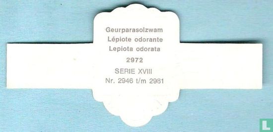 Geurparasolzwam (Lepiota odorata) - Bild 2
