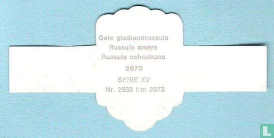 Gele gladrandrussula (Russula ochroleuca) - Image 2