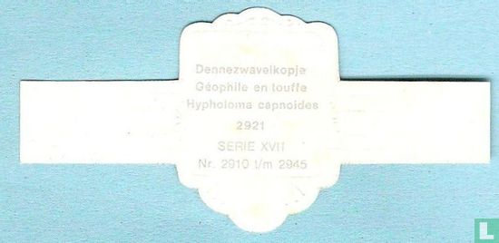Dennezwavelkopje ( Hypholoma capnoides) - Image 2