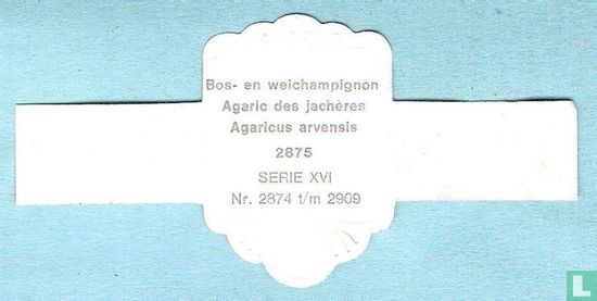 Bos- en weichampignon (Agaricus arvensis) - Afbeelding 2