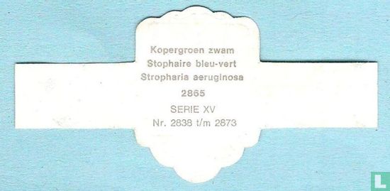 Kopergroen zwam (Stropharia aeruginosa) - Afbeelding 2
