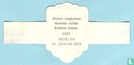 Bruine ringboleet (Boletus luteus) - Bild 2