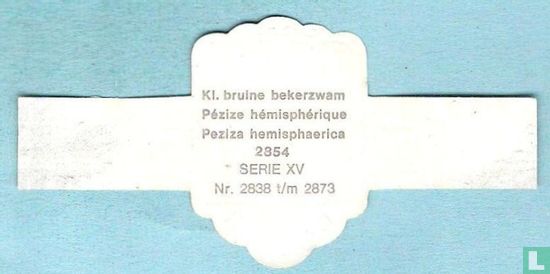 Kl. bruine bekerzwam (Peziza hemisphaerica) - Afbeelding 2