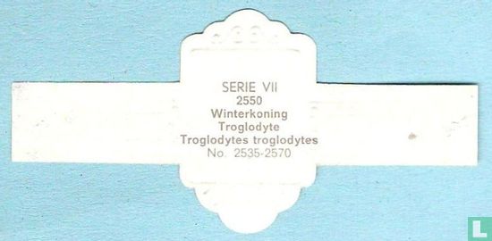 Winterkoning (Troglodytes troglodytes) - Afbeelding 2