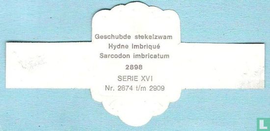Geschubde stekelzwam (Sarcodon imbricatum) - Afbeelding 2