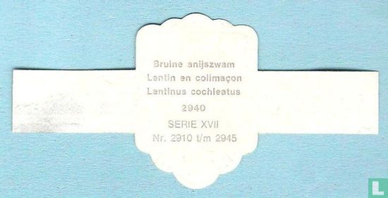 Bruine anijszwam (Lentinus cochleatus) - Image 2