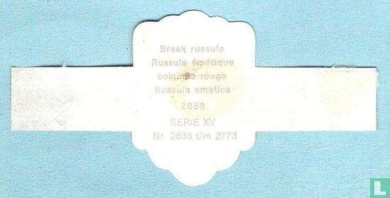 Braak russula (Russula emetica) - Afbeelding 2