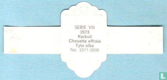 Kerkuil (Tyto alba) - Bild 2
