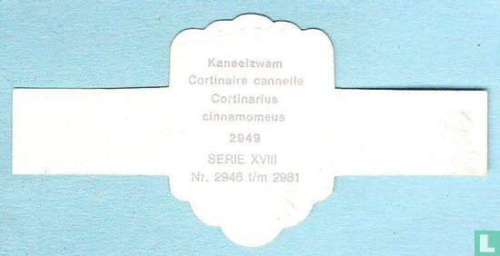 Kaneelzwam (Cortinarius cinnamomeus) - Afbeelding 2