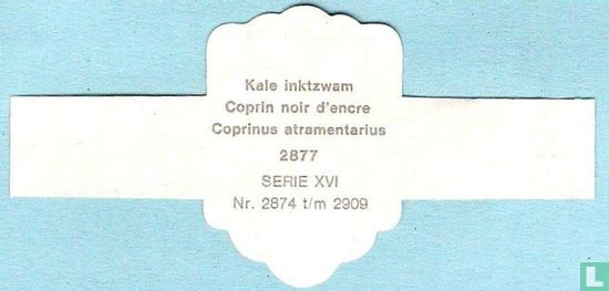 Kale inktzwam (Coprinus atramentarius) - Afbeelding 2