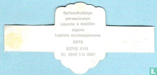 Spitsschubbige parasolzwam (Lepiota acutesquamosa) - Afbeelding 2
