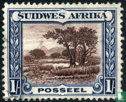 Forest landscape (afrikaans)