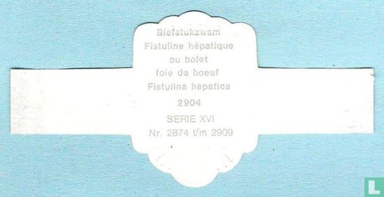 Biefstukzwam (Fistulina hepatica) - Afbeelding 2