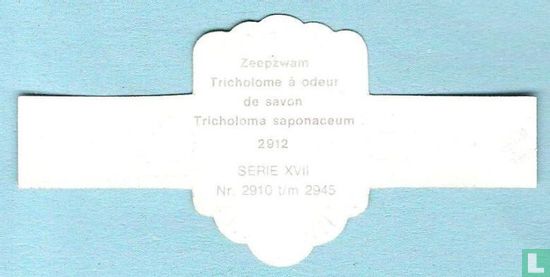 Zeepzwam (Tricholoma saponaceum) - Image 2