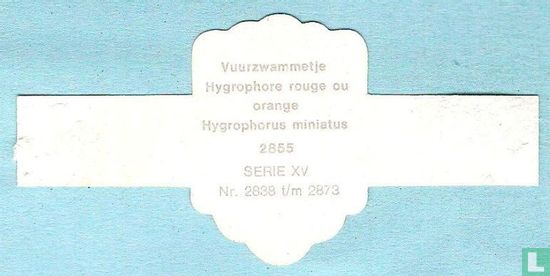 Vuurzwammetje (Hygrophorus miniatus) - Bild 2