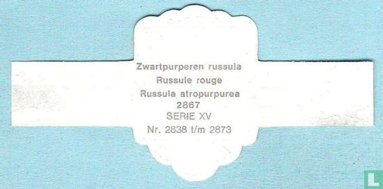 Zwartpurperen russula (Russula atropurpurea) - Afbeelding 2