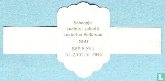 Schaapje (Lactarius Vellereus) - Afbeelding 2