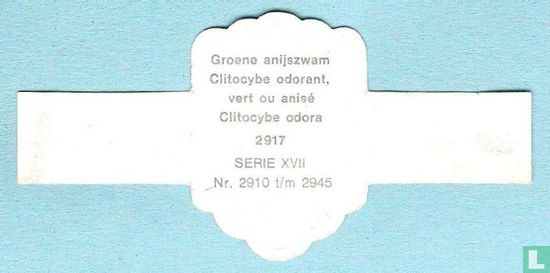 Groene anijszwam (Clitocybe odora) - Image 2