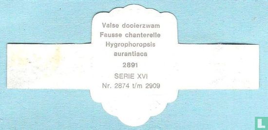 Valse dooierzwam (Hygrophorosis aurantiaca) - Image 2