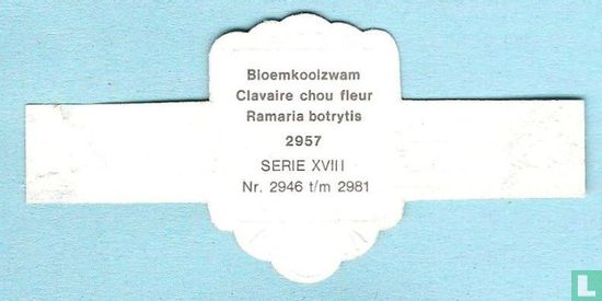 Bloemkoolzwam (Ramaria botrytis) - Image 2