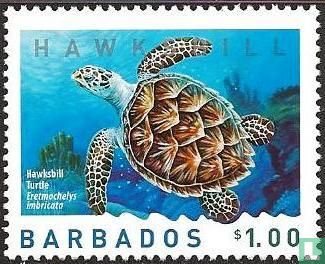 Meeresschildkröten 