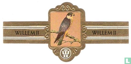 Boomvalk (Falco subbuteo) - Afbeelding 1