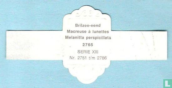 Brilzee-eend (Melanitta perspicillata) - Afbeelding 2