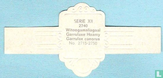 Witoogamaliagaai (Garrulax canorus) - Bild 2